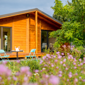 2. Bf Granny Flats
